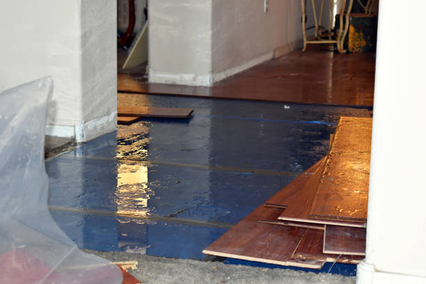 Professional Burst Pipe Cleanup technician working in Underwood, IN